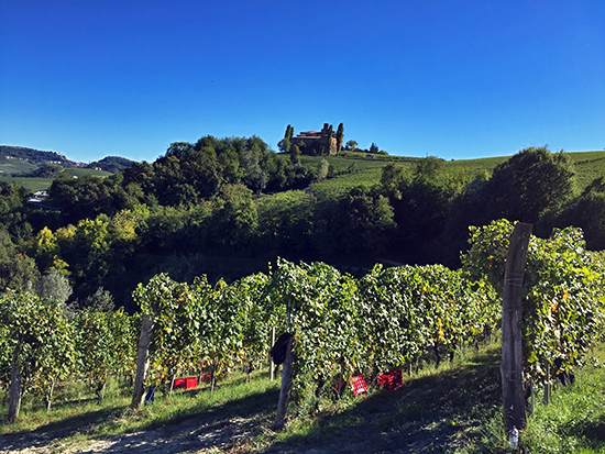 Barolo Via Nuova Vigne