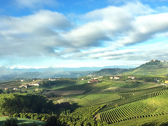 Langhe Nebbiolo Vigne